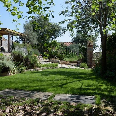 Casa Rural Caenia Grupos Traguntia Екстериор снимка